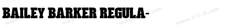 Bailey barker Regula字体转换